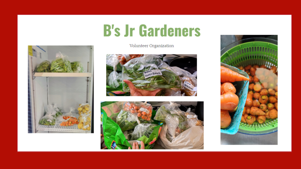 Photo wtih B's Jr Gardeners logo and produce